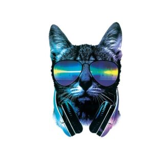 Vinyltryck cool cat 26x16